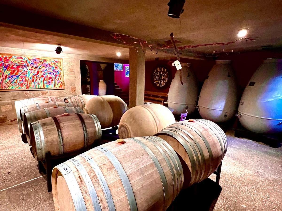 סן חוויאר Araoz De Lamadrid Hotel&Bodega מראה חיצוני תמונה